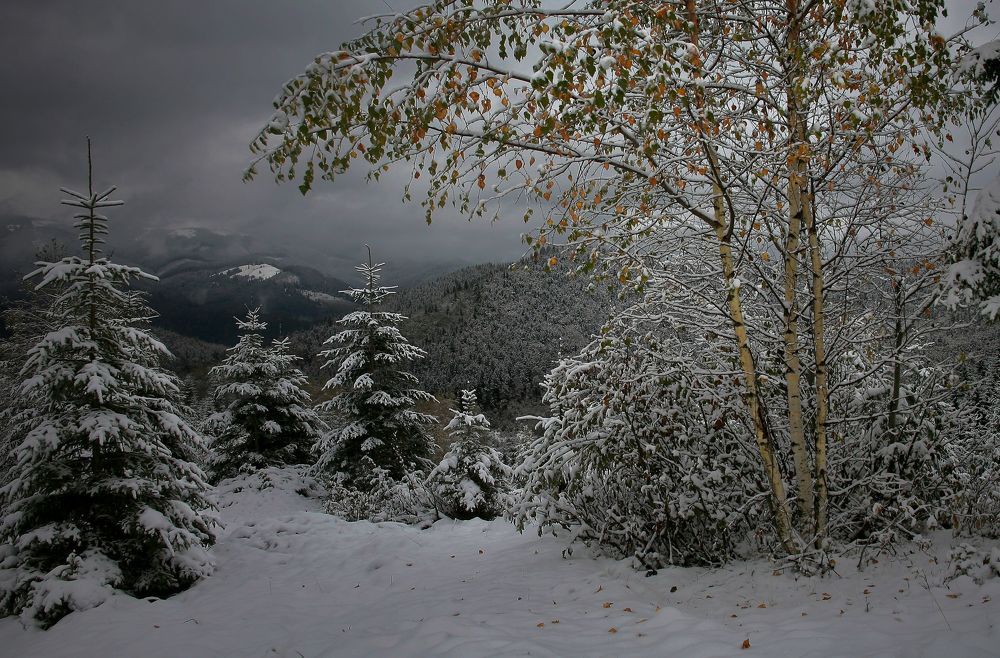 Встреча зимы и осени
