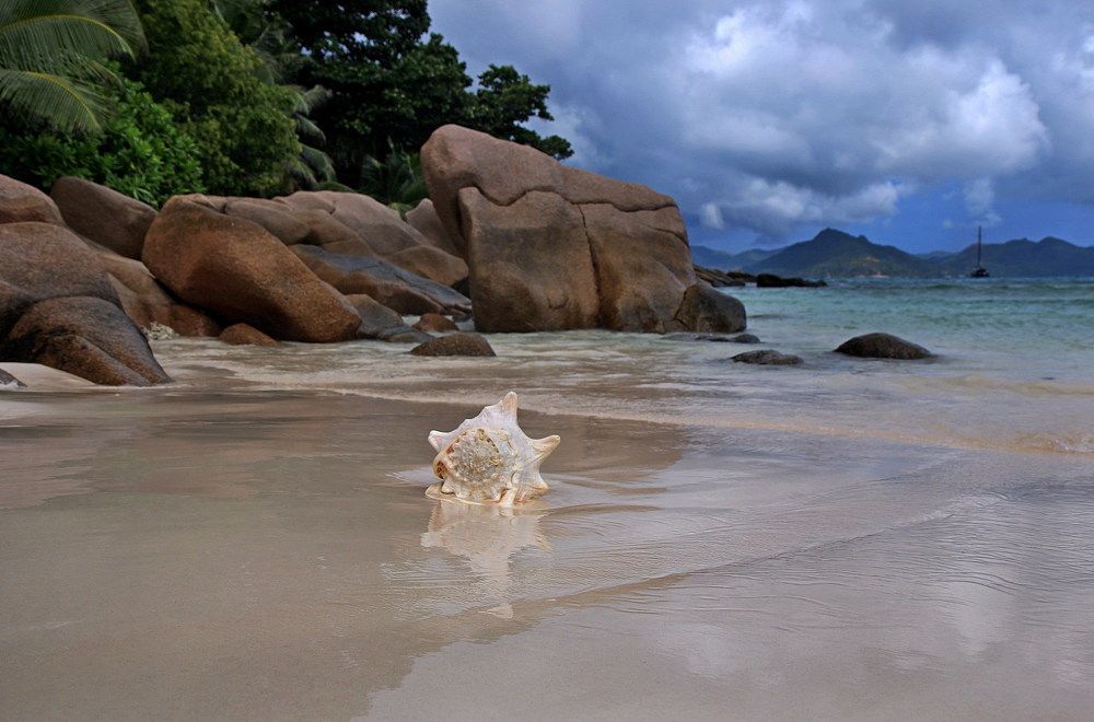 Одиночество в раю