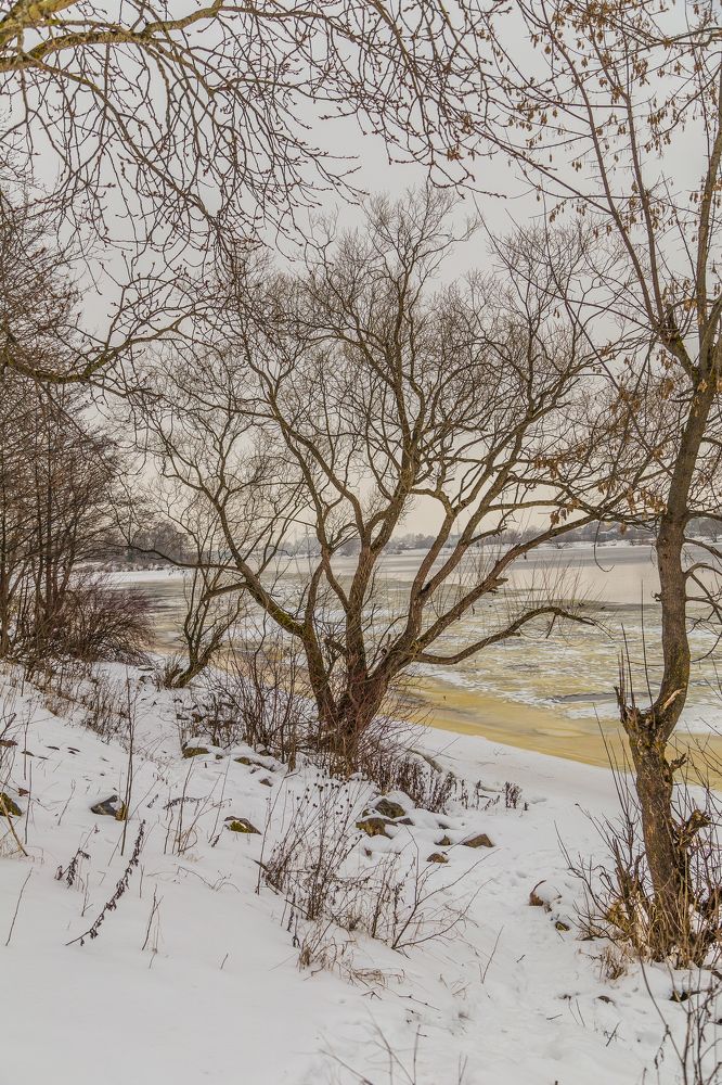 Волга река родные берега