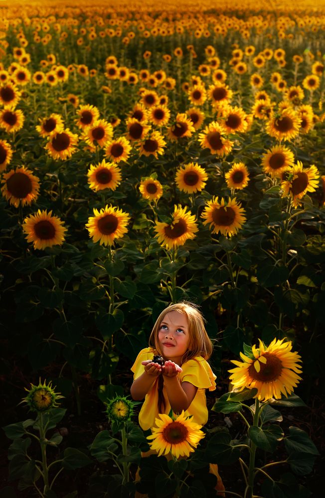 Спасение птенца