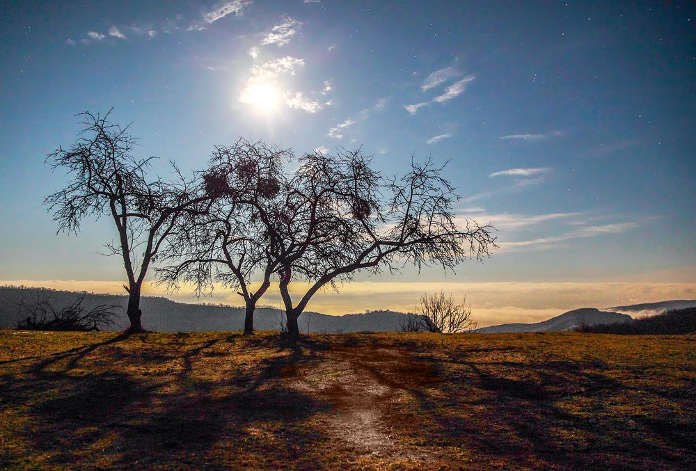 Полнолуние..