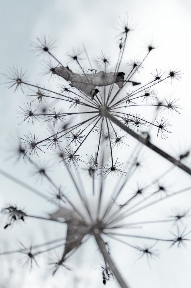 Photograph by Нина Минченко