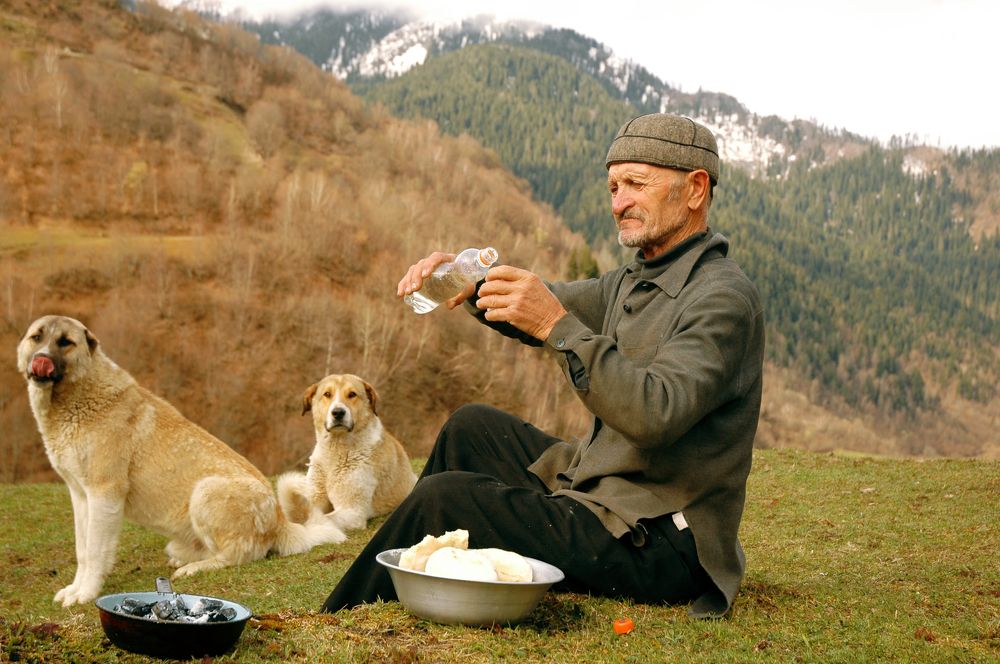 Photograph by khatia Girgvliani