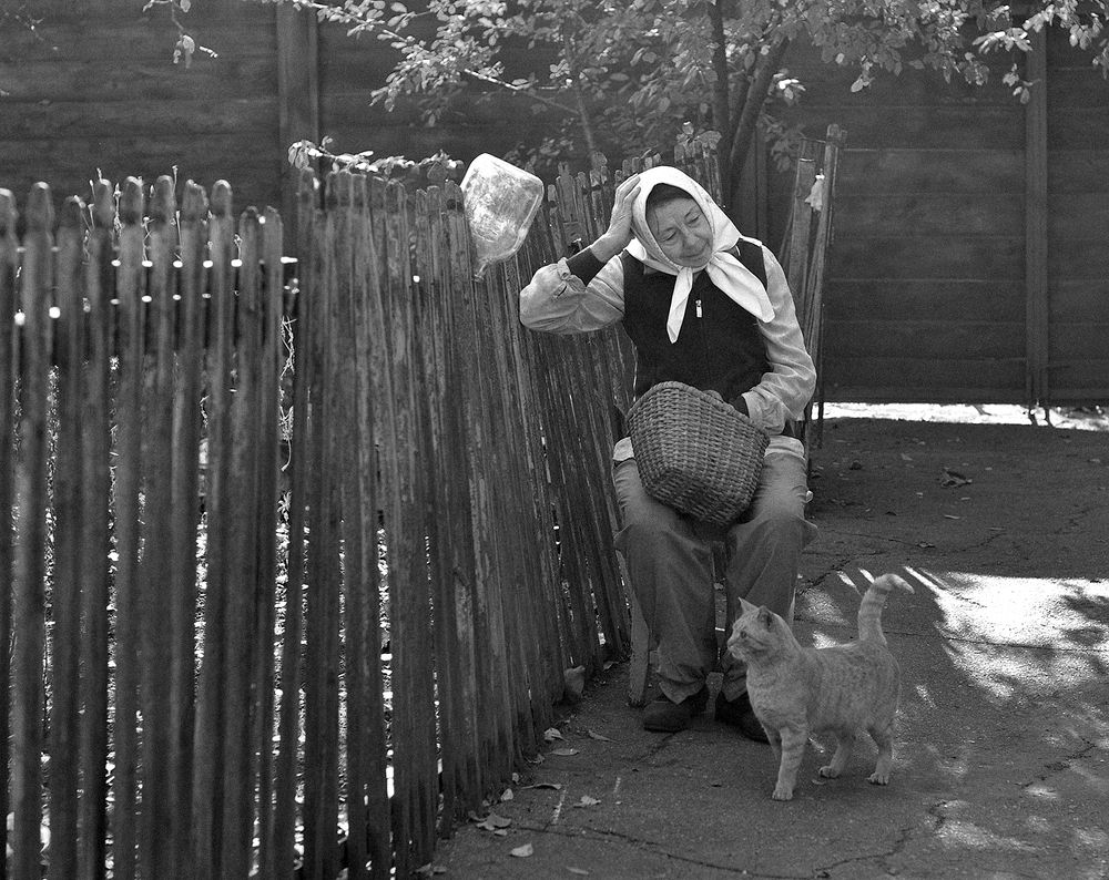 Жизнь, какая она есть