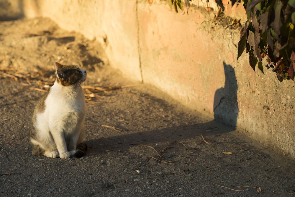 Ты такой же как и я