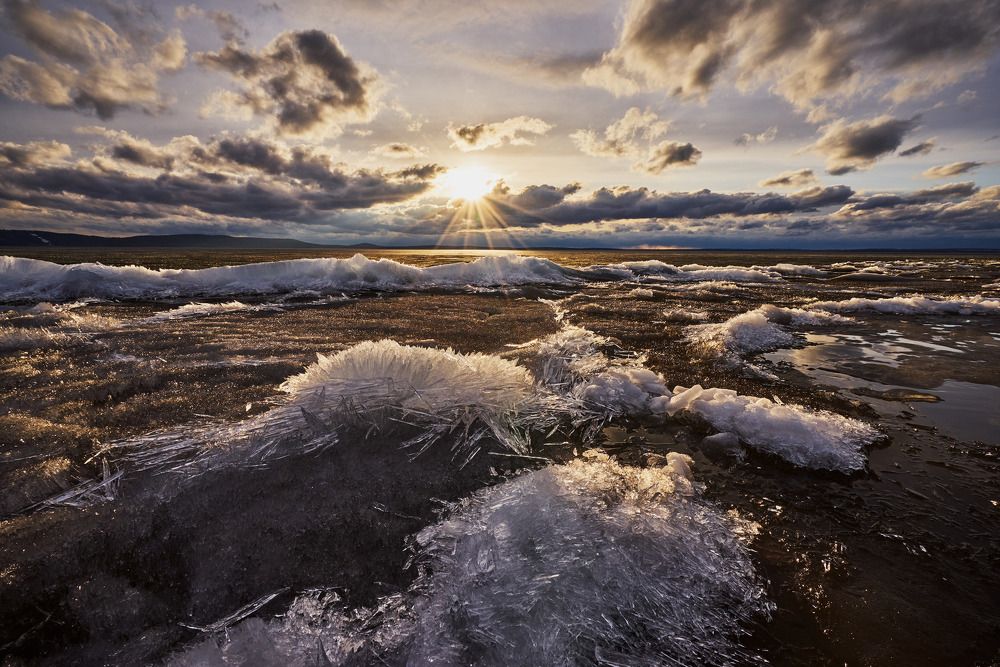 Весенний хаос