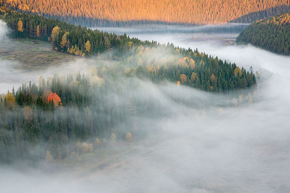 Купаясь в тумане.