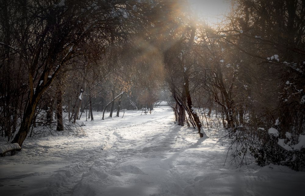 End of the Winter Day