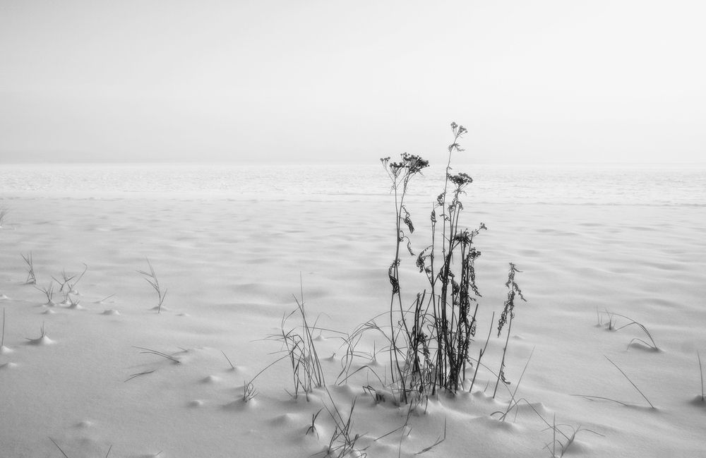 Ледяное безмолвие Ладожского озера