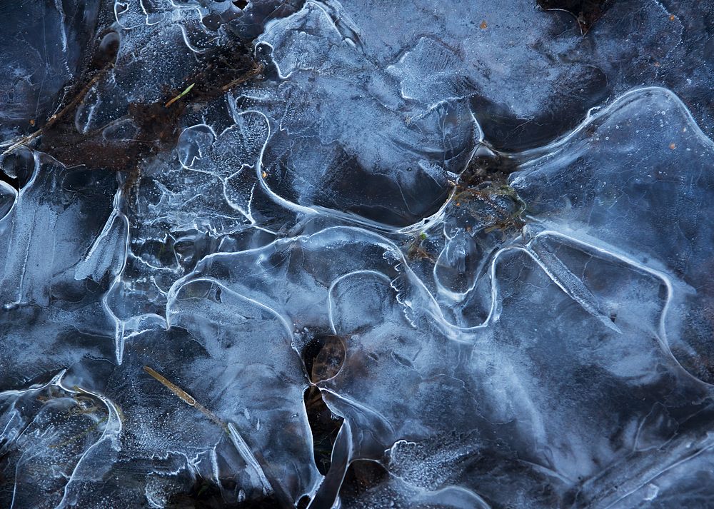 Ускользающая красота - 6