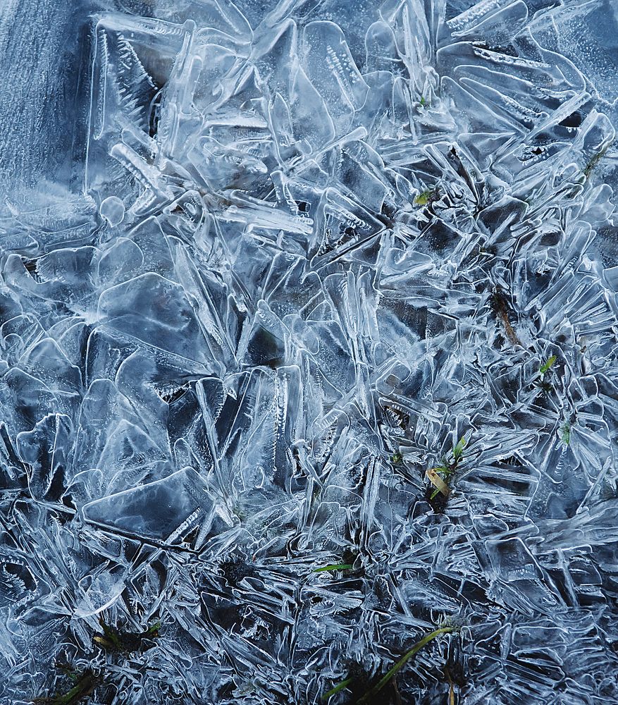 Ускользающая красота - 7