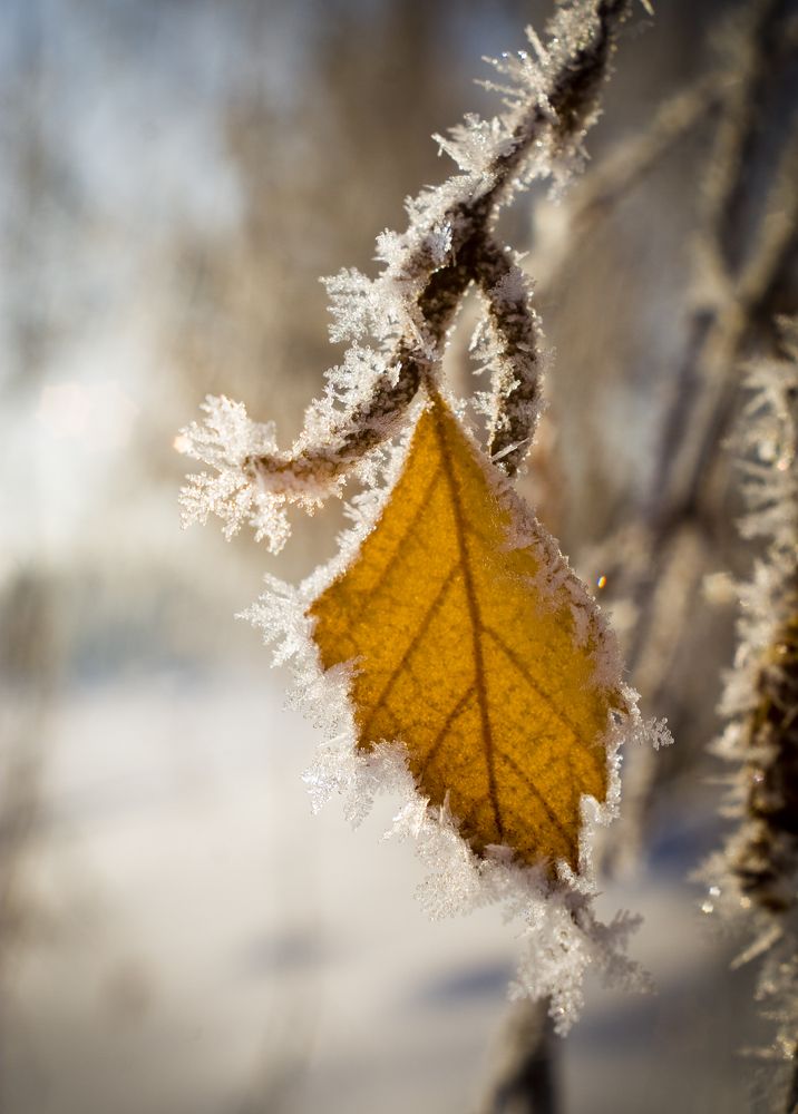 Заморозило