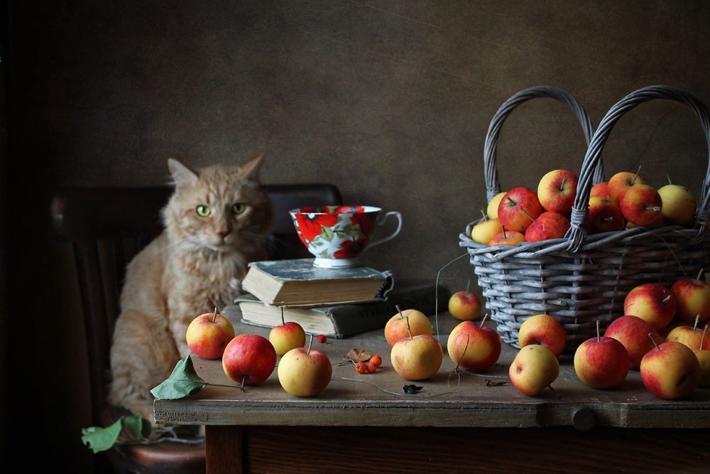 Наблюдатель