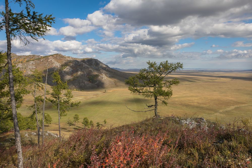 Поздняя осень