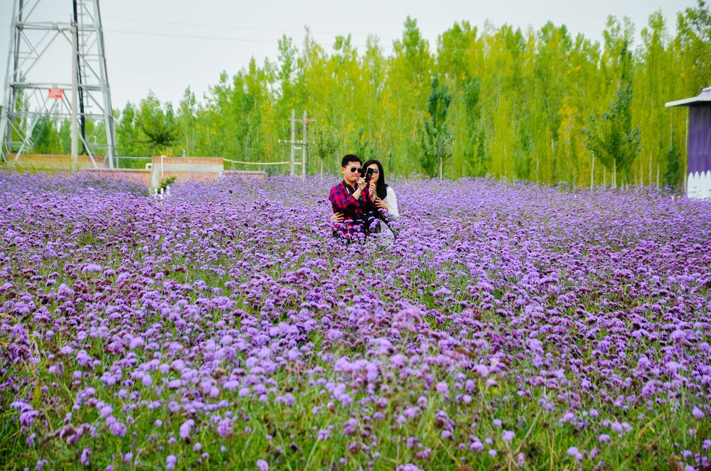 A Couple at the Garden