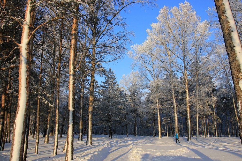 Фотография автора Александр Хохряков