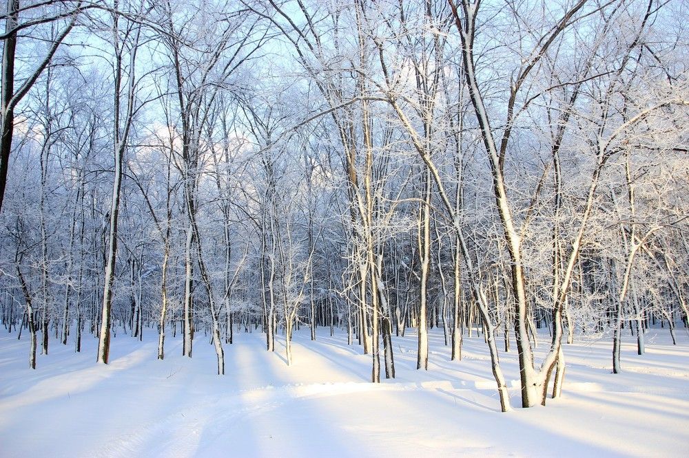 Фотография автора Александр Хохряков