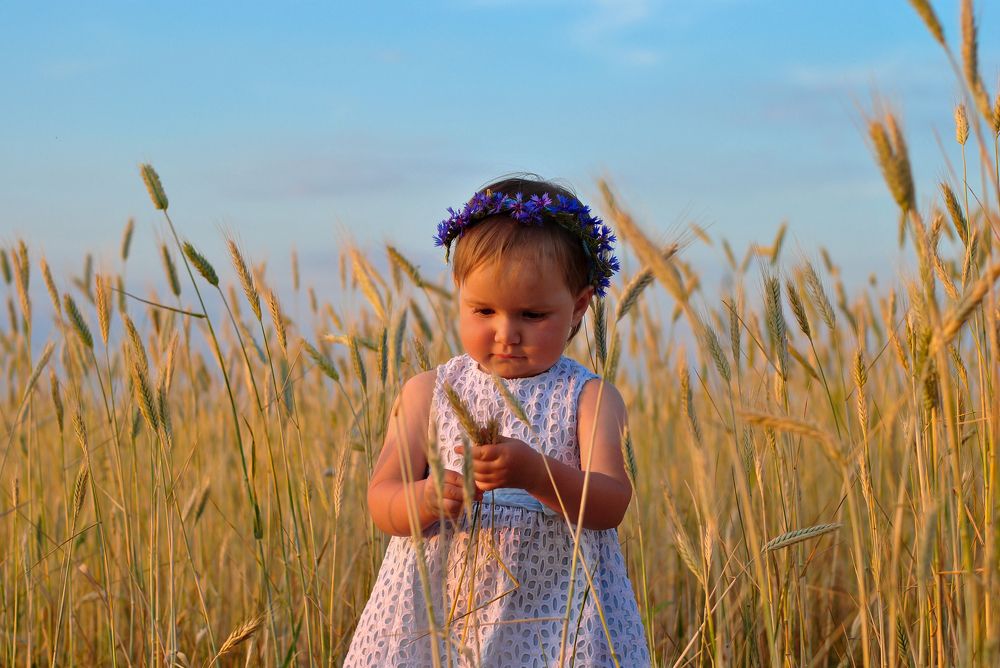 Лето в деревне