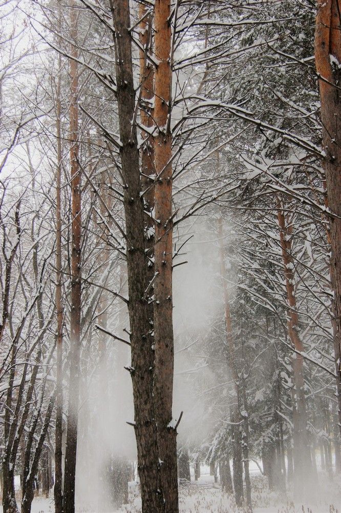 Фотография автора Александр Хохряков