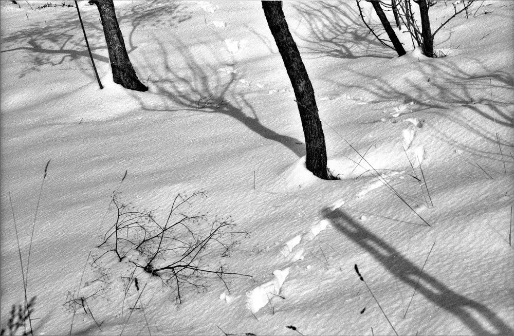 where the sun shines