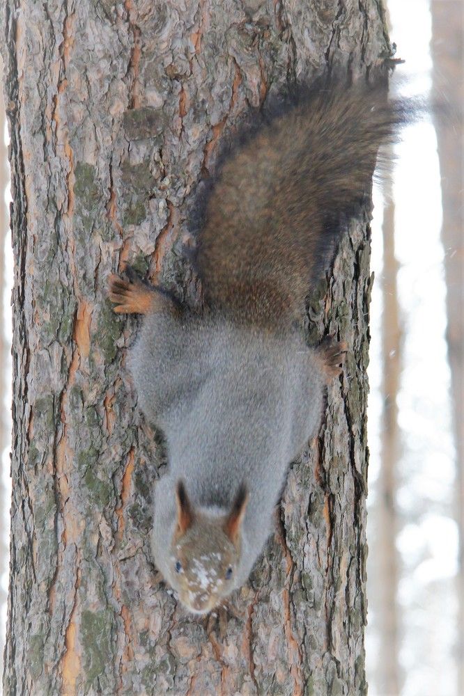 Фотография автора Александр Хохряков