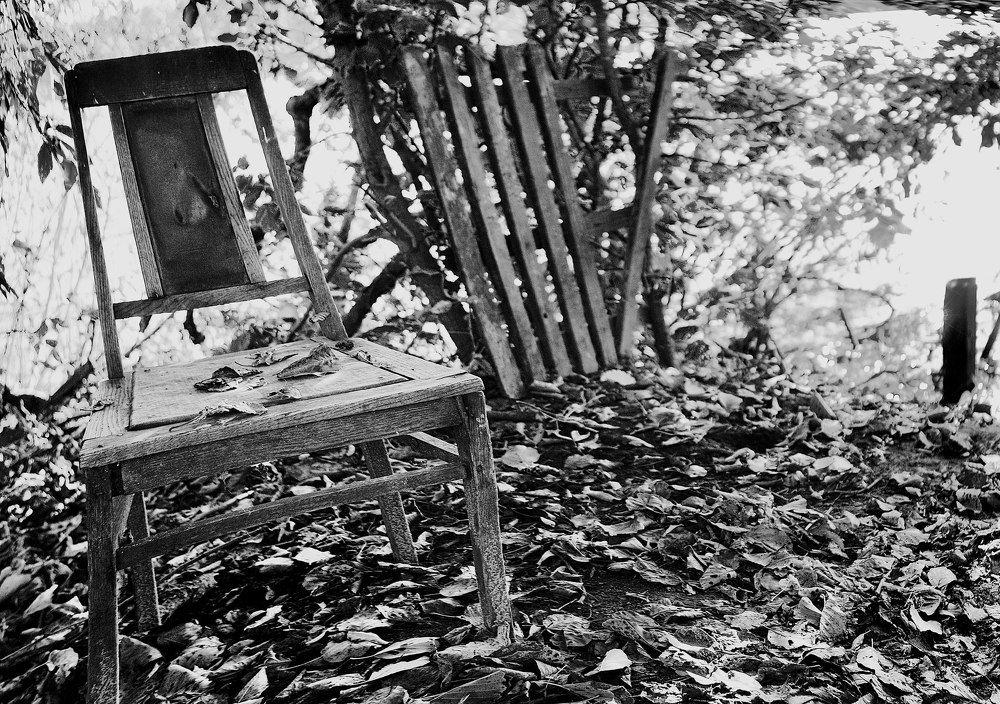 Фотография автора Алёна Герасимова