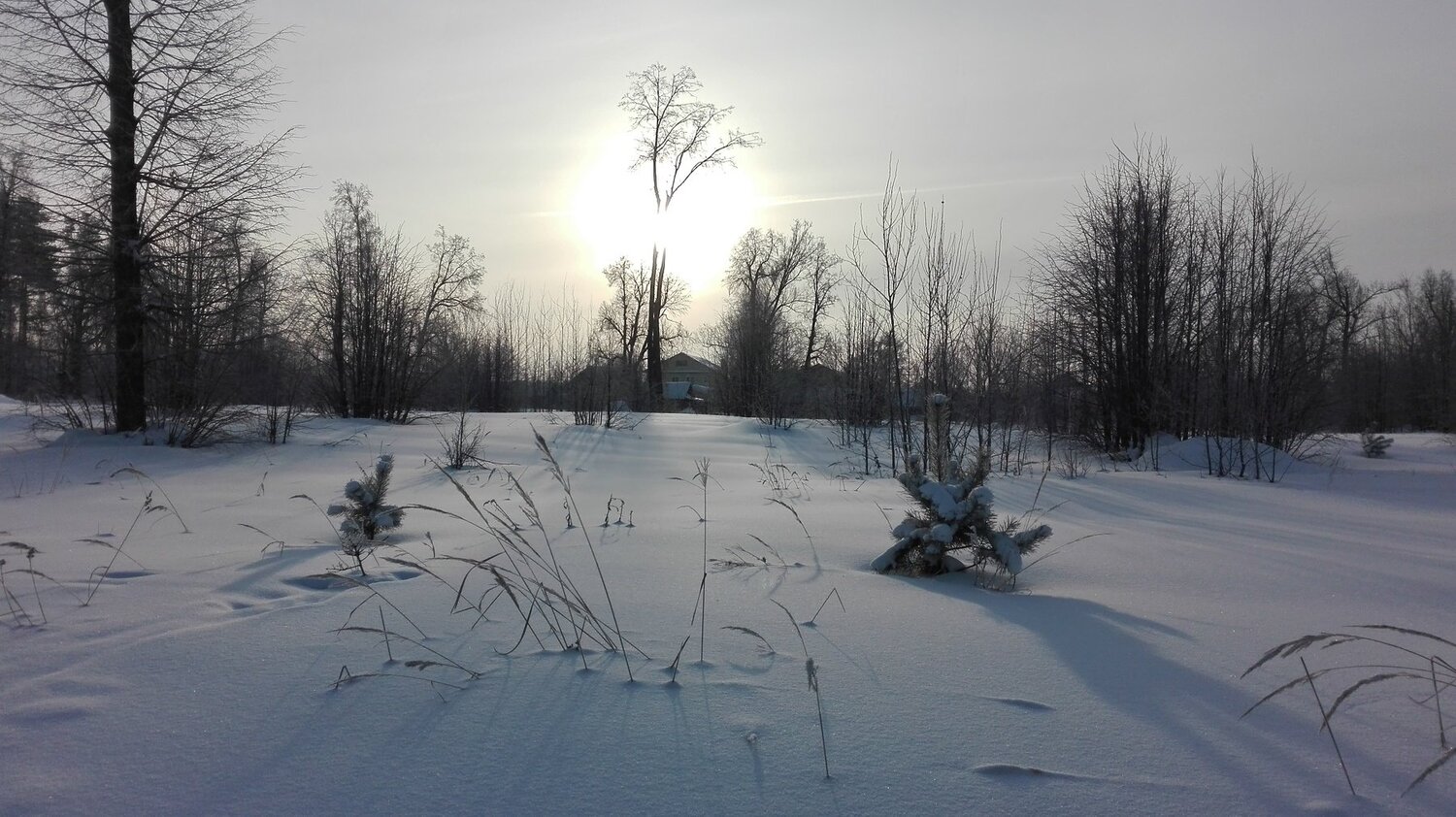 Star-sun