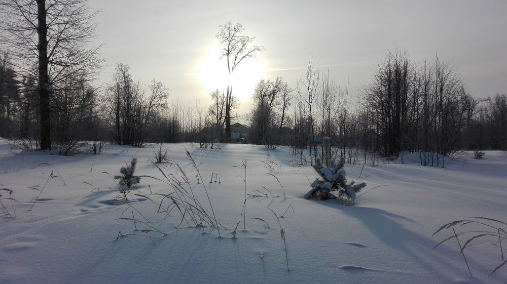 Star-sun