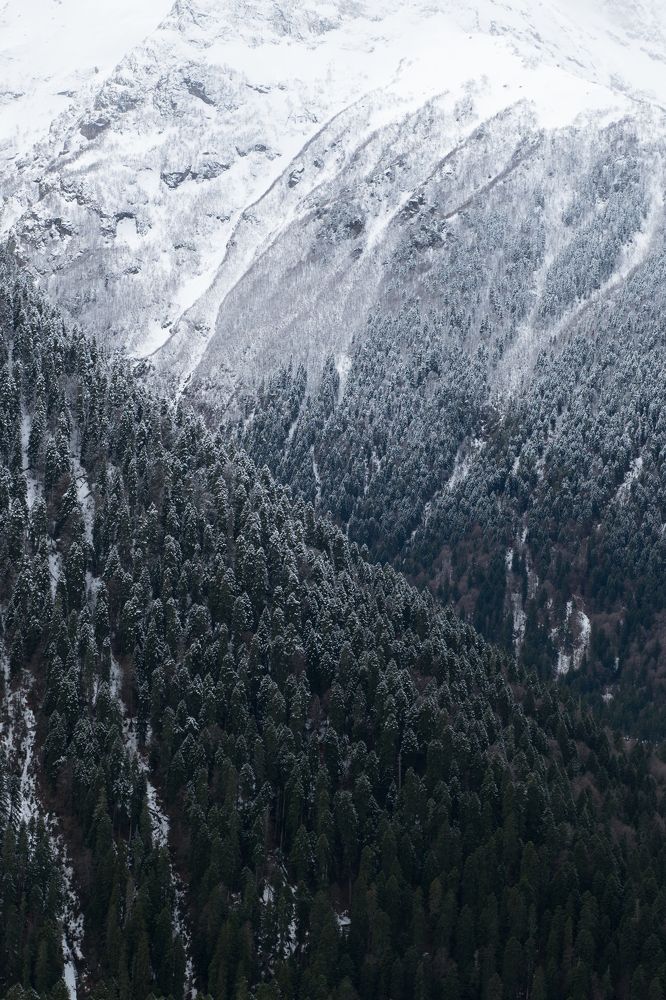 Северный Кавказ