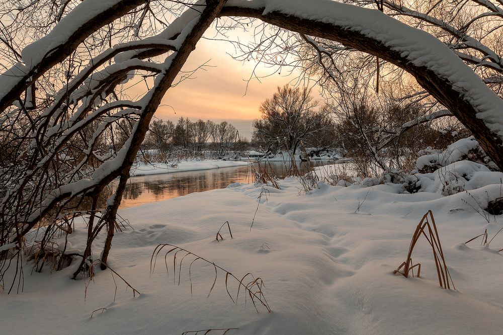 Фотография автора Николай Носов