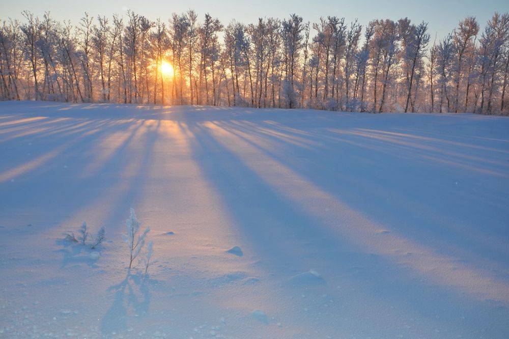 Зимнее утро