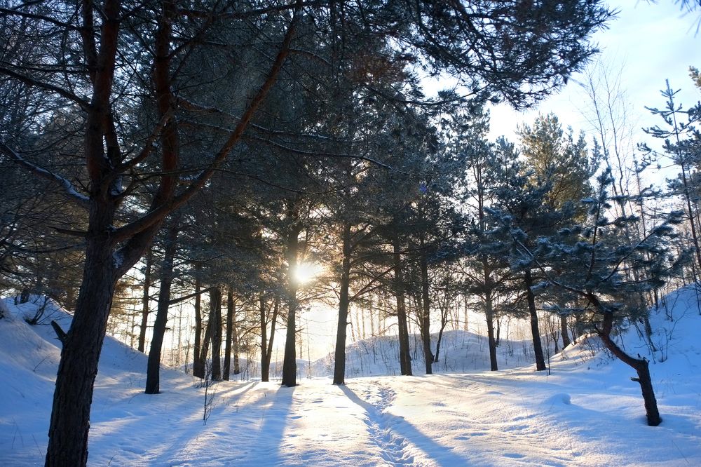 дорога к солнцу