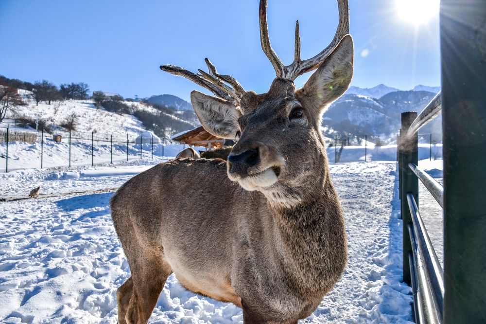 Photograph by Волков Станислав