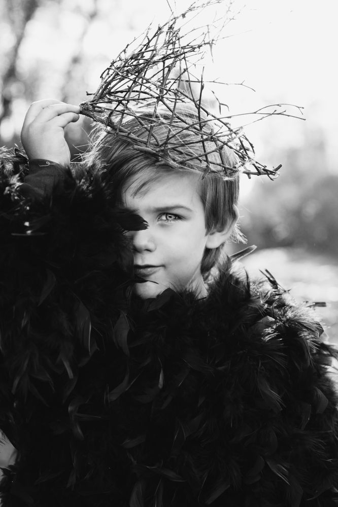 Король-ворон