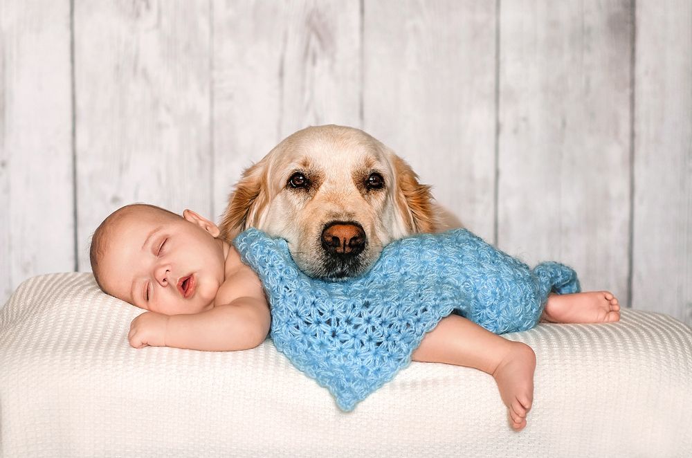 Начало крепкой дружбы