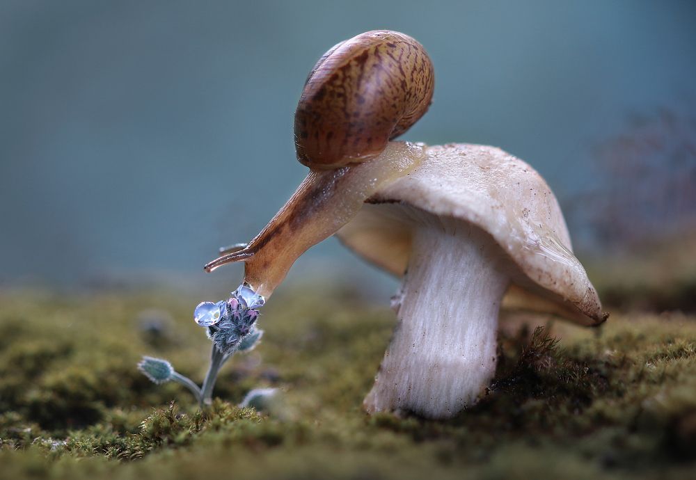 Что у нас на завтрак?