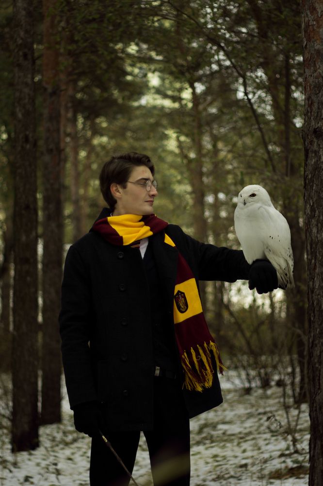 История одного волшебника