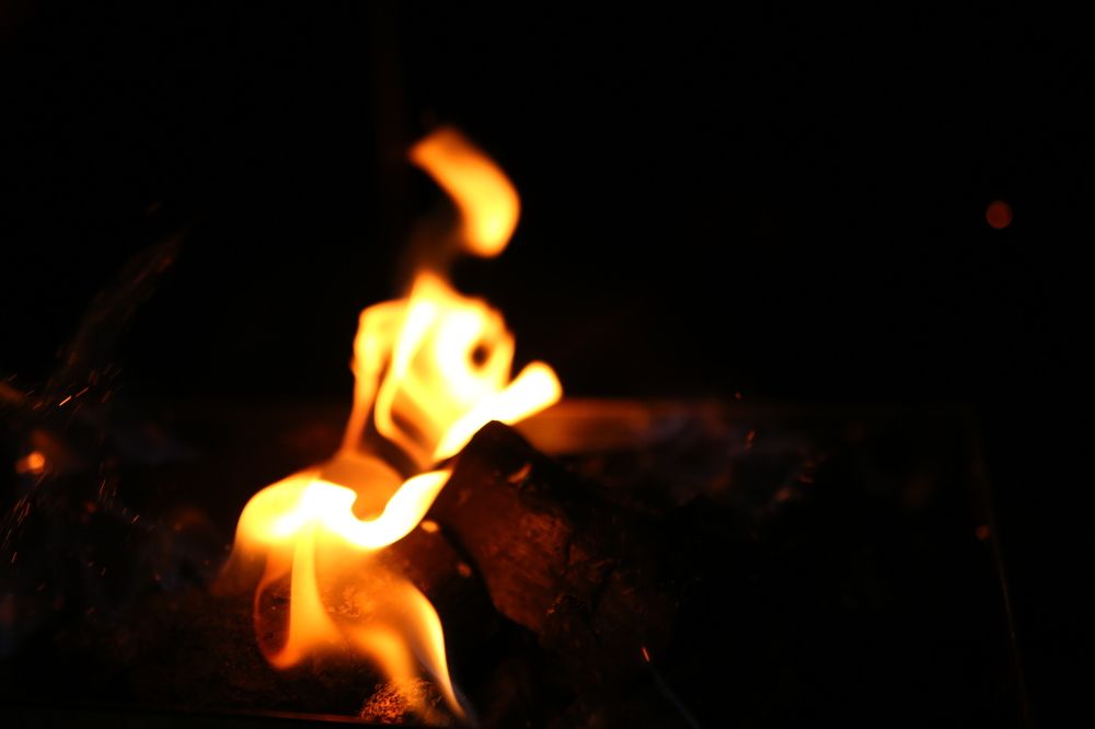 Photograph by Febin Francis