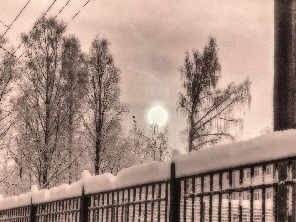 Зимнее солнце