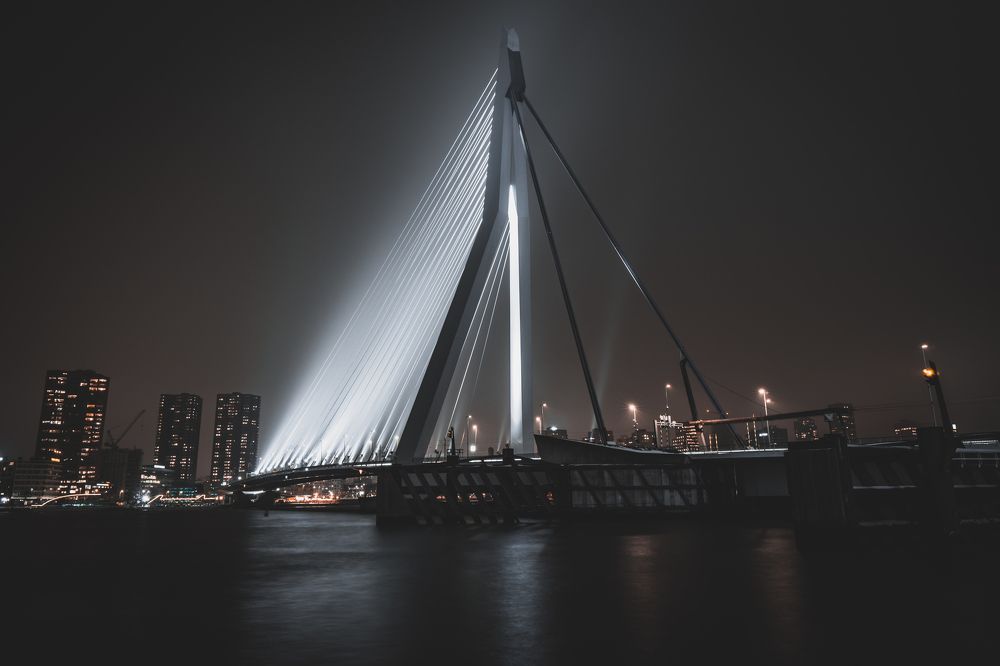erasmusbridge rotterdam