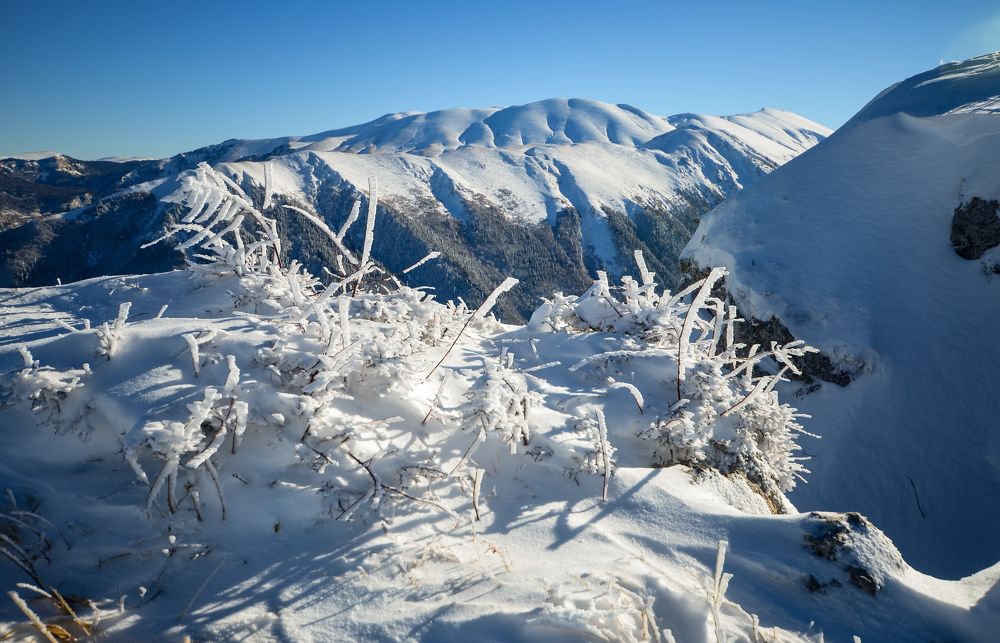 Снежные горы