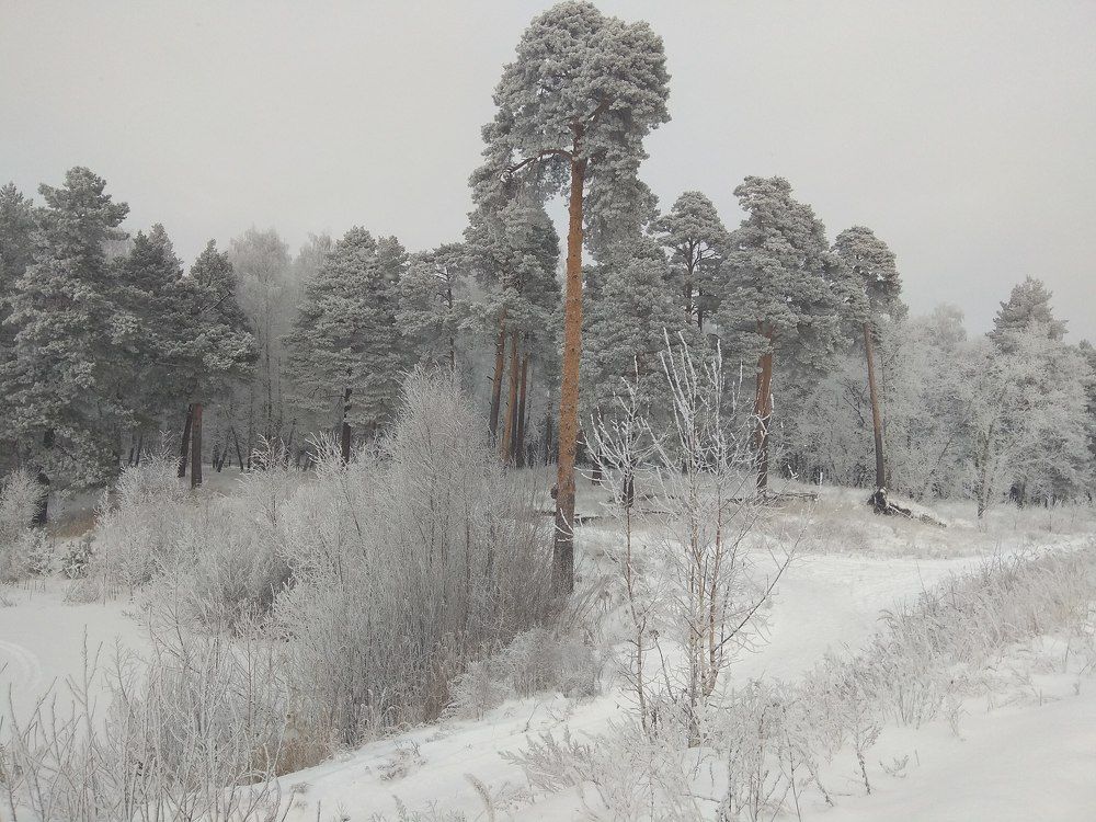 Зимняя сказка