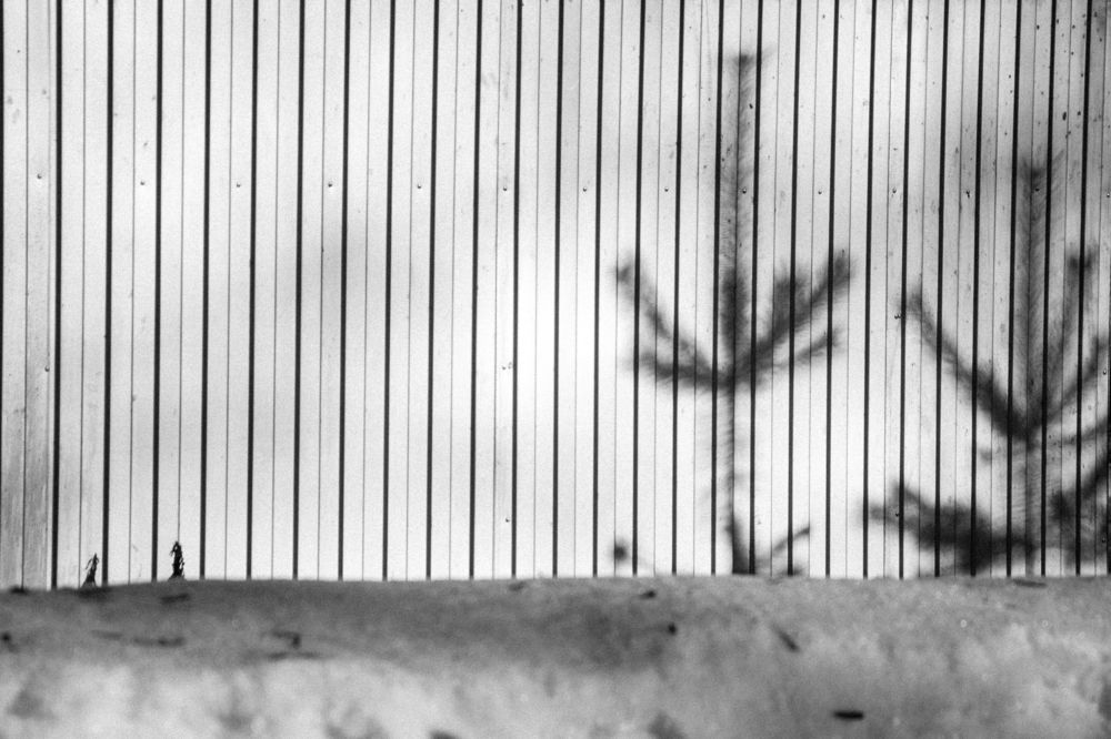 Тревожные мысли