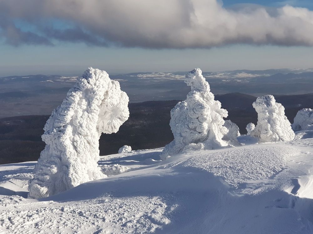 Photograph by Marcin Sokolowski - maarew