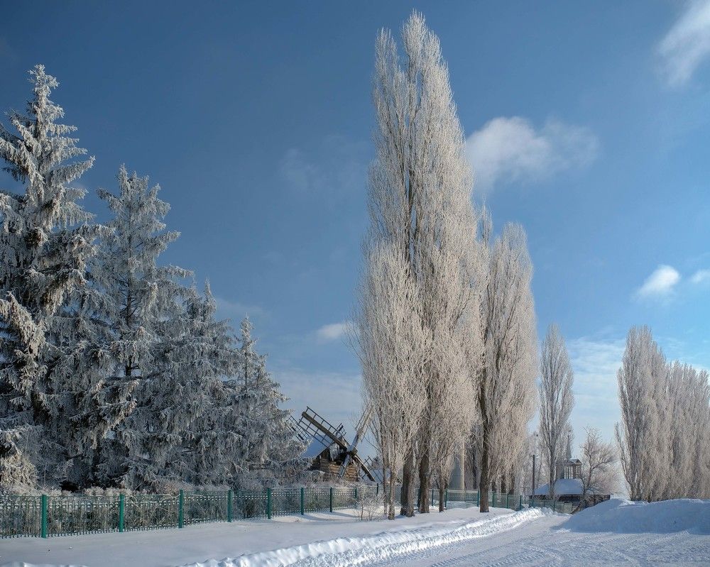 Frost and the Sun ...