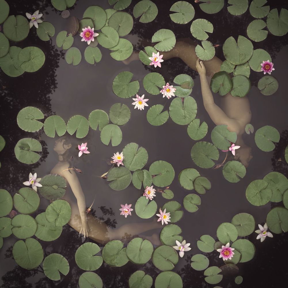 Reflections of humanity 2