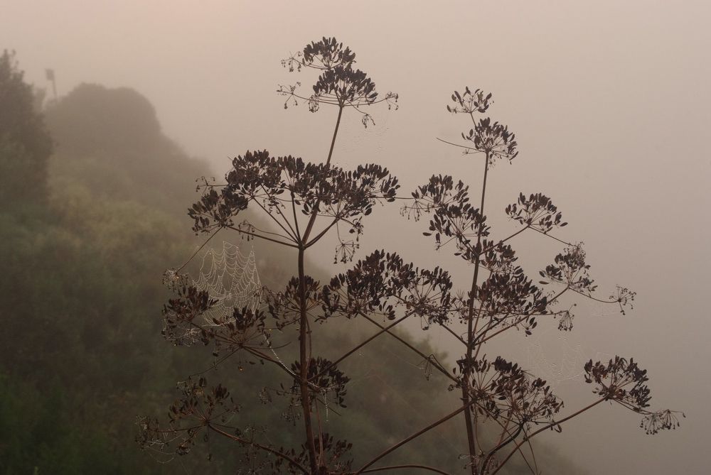 Photograph by Алексей Марков