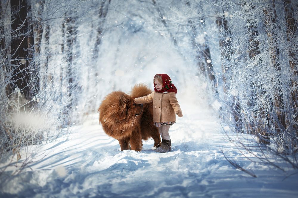 Иля и Банзар