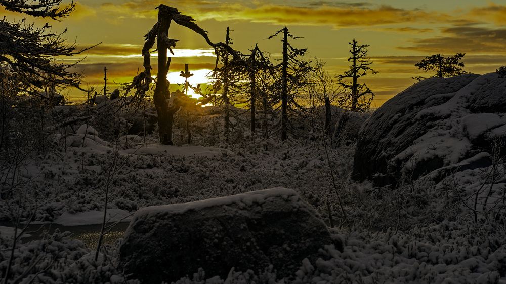 Вотто, утро