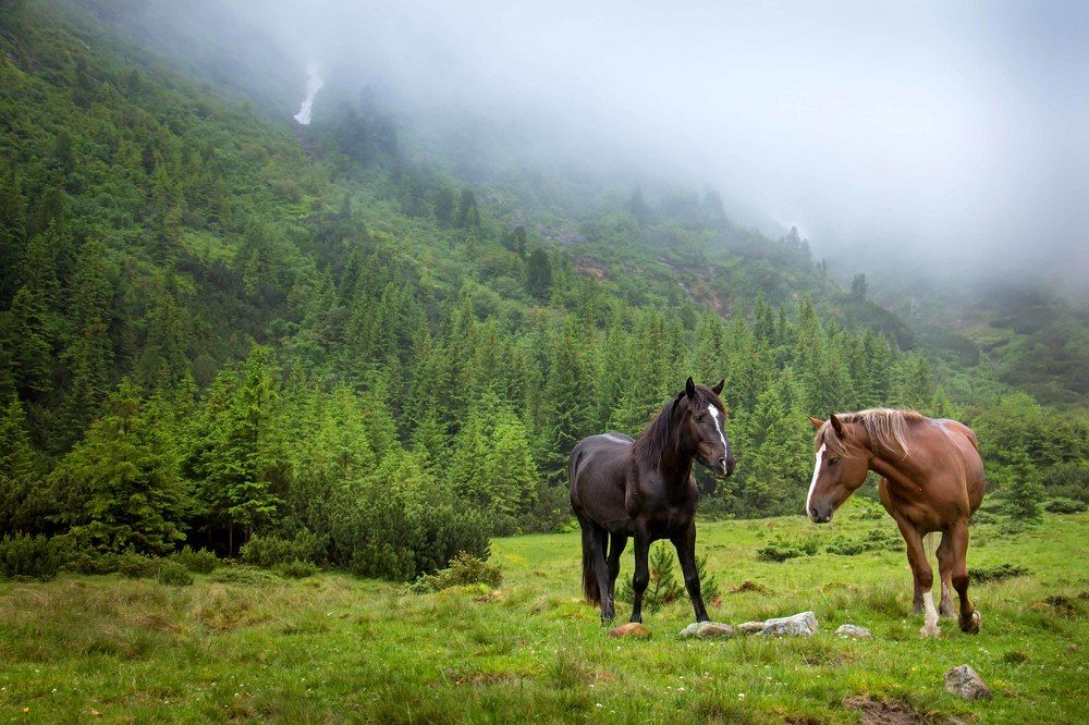 На уровне облаков